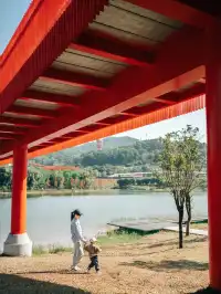 就在深圳超愛的免費寶藏遛娃地，超chill