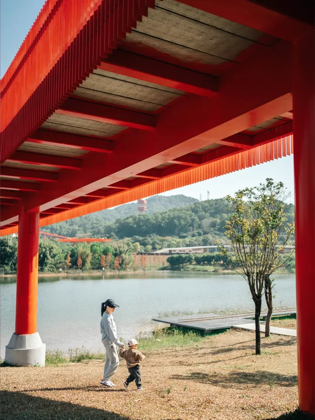 就在深圳超愛的免費寶藏遛娃地，超chill