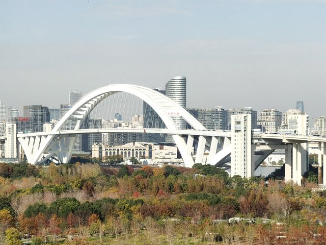 魔都秋色打卡 魔都秋色打卡