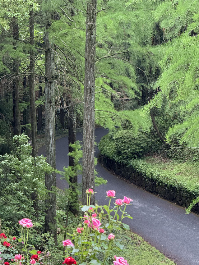 江浙滬世外桃源天花板裸心谷度假村超全測評! 江浙滬世外桃源天花板裸心谷度假村超全測評!