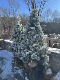 長白山絕美窗邊咖啡正對雪山河谷太出片