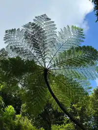 為了這10張圖 願意去100次昆士蘭