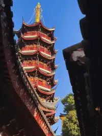 南京古雞鳴寺 | 邂逅千年梵剎的禪意