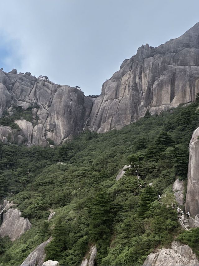 1日黃山包車遊打卡所有精華景點 1日黃山包車遊打卡所有精華景點
