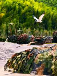 本以為杭州的江南美已經封神，直到闖進宜興這個小鎮！