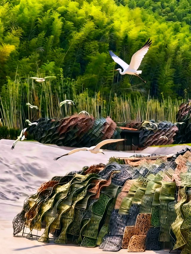 本以為杭州的江南美已經封神，直到闖進宜興這個小鎮！