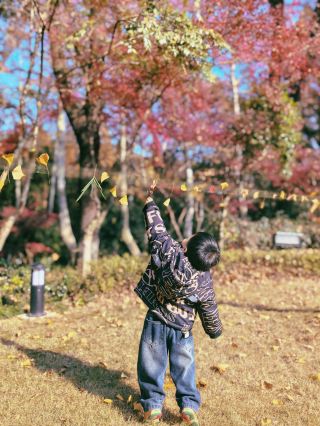 藏在九溪的隱世酒店，聖誕氛圍已經MAX