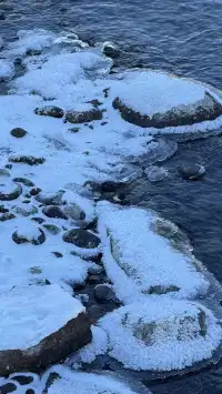 12.2 治癒日｜白哈巴→喀納斯漫遊