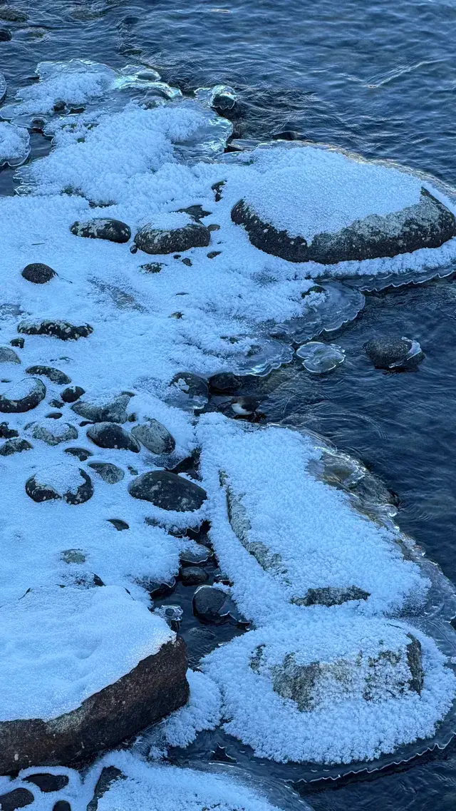 12.2 治癒日｜白哈巴→喀納斯漫遊