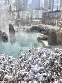 12月沈陽清河半島現狀準備來的寶…