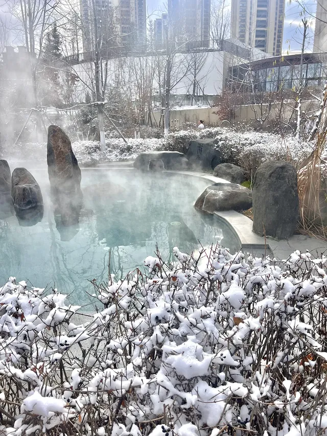 12月沈陽清河半島現狀準備來的寶… 12月沈陽清河半島現狀準備來的寶…