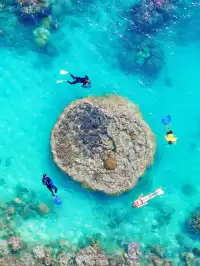 聖靈群島 | 雙套餐玩法承包夢幻海陸空