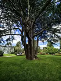 新西蘭D1|奧克蘭一日遊