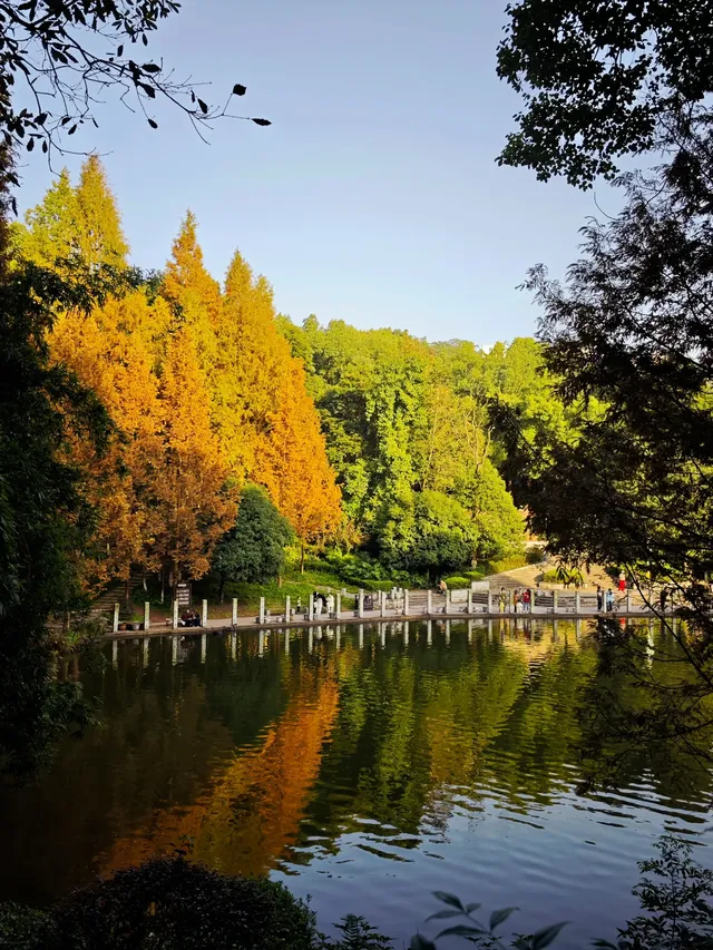 重慶寶藏地，0元闖進秋日禪意天堂