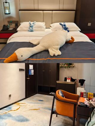 This room is absolutely amazing