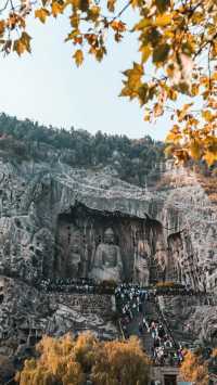 12月洛陽四天三晚旅行攻略