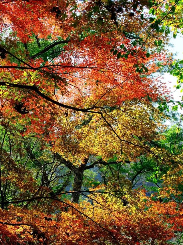 昆明的秋天 昆明的秋天