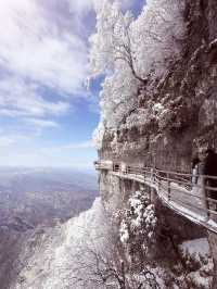 12月-2月來郴州莽山的!存下吧超全的!小眾玩雪地必衝!
