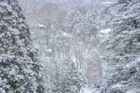 雪落廬山大廈：帶娃住進民國暖冬