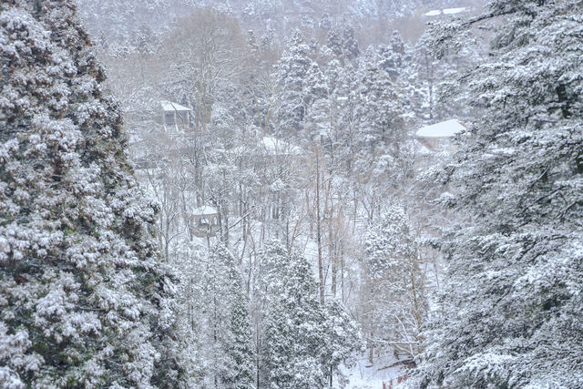 雪落廬山大廈：帶娃住進民國暖冬