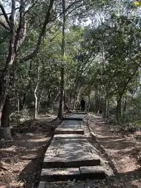 12.4西溪谷漫遊道5km徒步|路線+出片點+tips