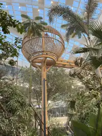 12.25到長春萬達茂看火壺表演和室內滑雪