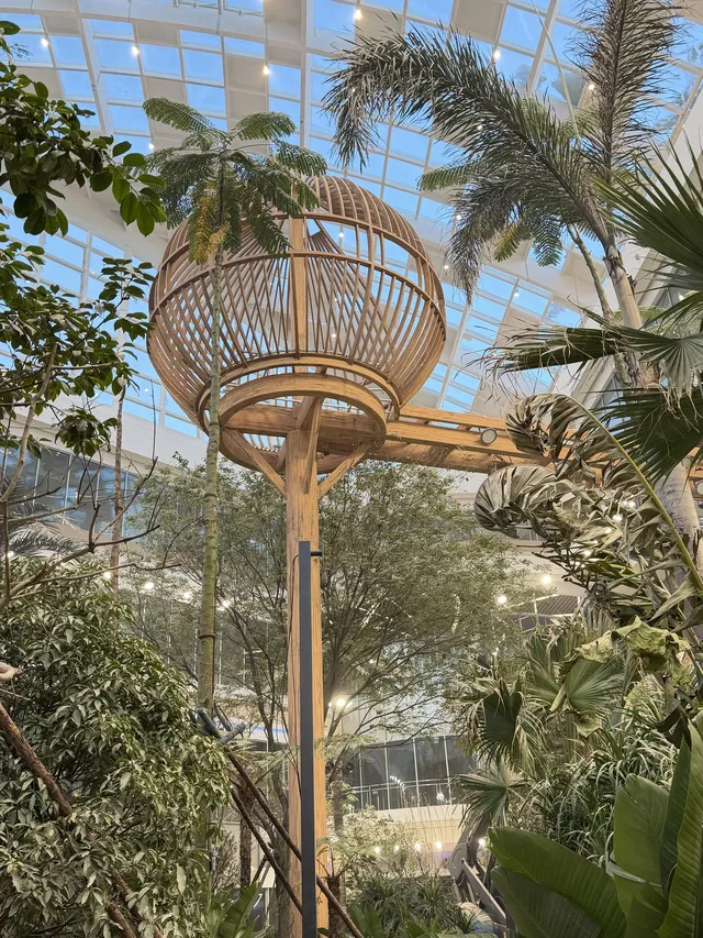 12.25到長春萬達茂看火壺表演和室內滑雪