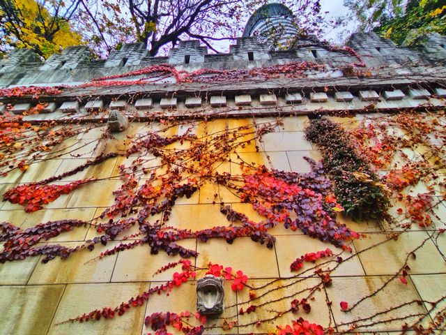 杏好~~有你 杏好~~有你