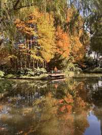 不誇張!本週上海最美的賞秋路線