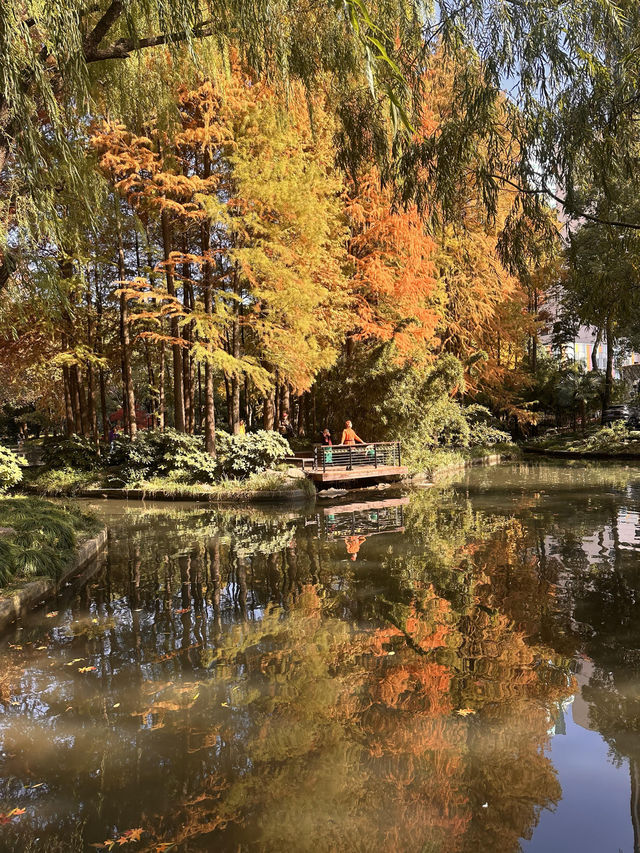 不誇張!本週上海最美的賞秋路線 不誇張!本週上海最美的賞秋路線