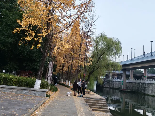 滿城盡飛黃金葉，紹興古城河清園秋色正迷人