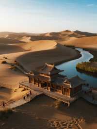 沙湖深度自然課 | 帶娃當“小小科考員”，追蹤濕地精靈，夜觀塞北