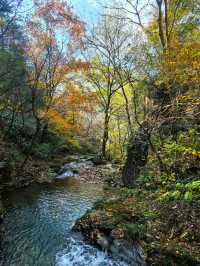 浙北大峽谷遊玩全攻略|懸崖秋千+玻璃吊橋嗨翻天