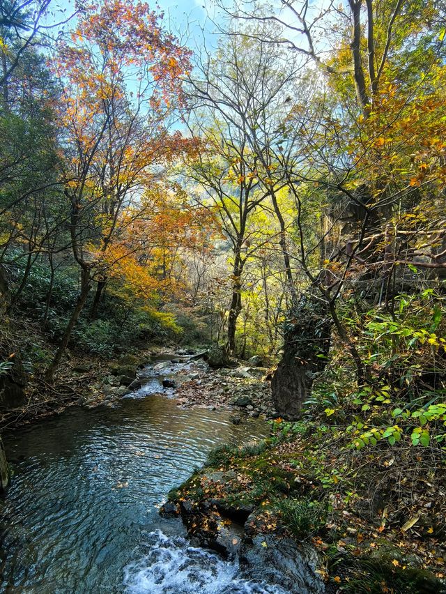 浙北大峽谷遊玩全攻略|懸崖秋千+玻璃吊橋嗨翻天 浙北大峽谷遊玩全攻略|懸崖秋千+玻璃吊橋嗨翻天