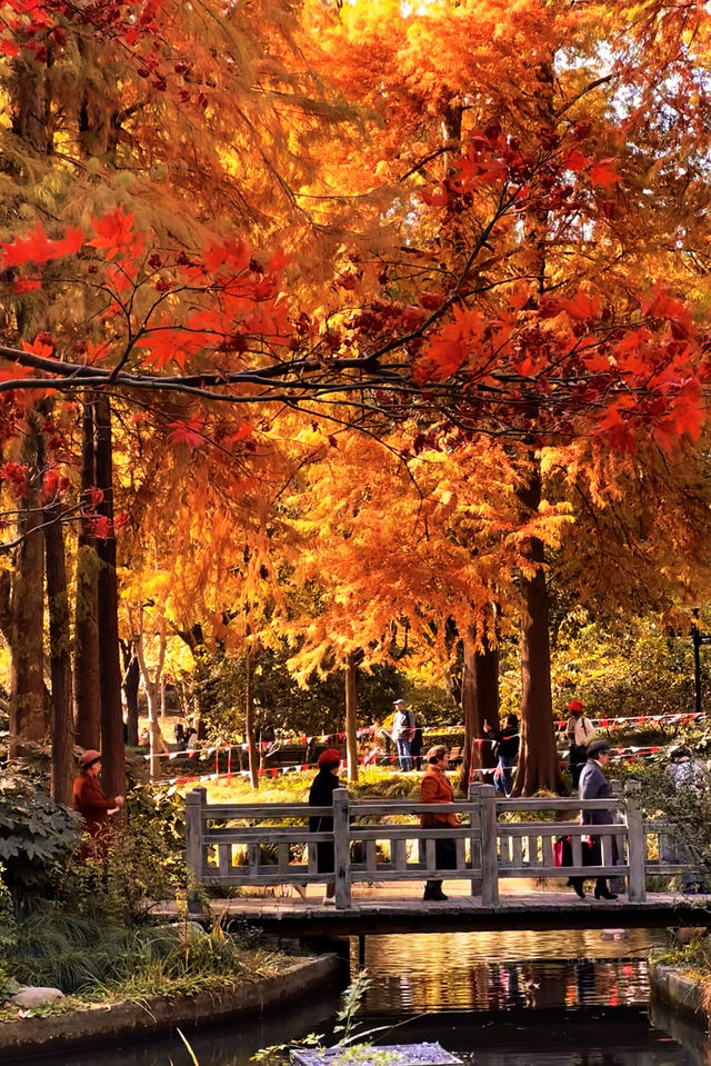 魔都賞秋封神路線!0元拍出大片感 魔都賞秋封神路線!0元拍出大片感