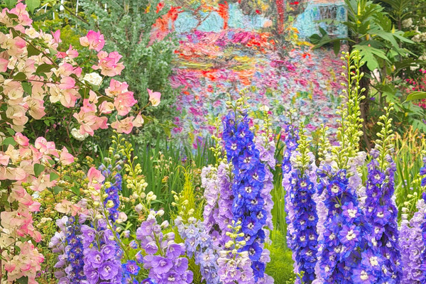 Shenzhen New Flower Exhibition｜Complete Guide to Checking in at