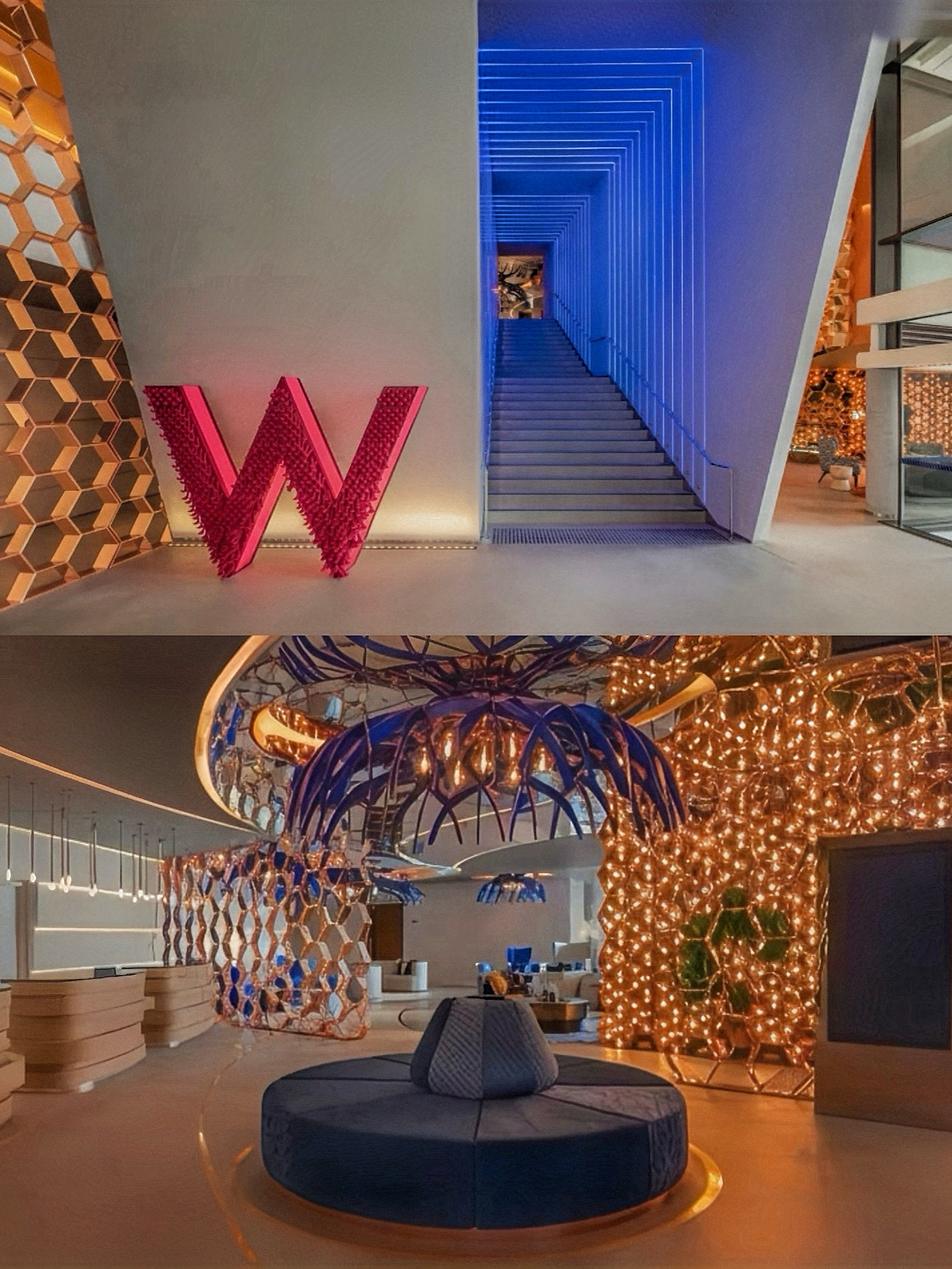 【澳洲 攻略 2026】Sydney, Haymarket Trip.com 精選 — 港人實用指南 Sydney, Haymarket - Sydney W Hotel's Harbor-Inspir - 圖 8