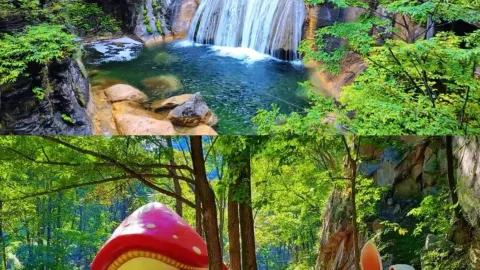 Masuk gratis ke Henan! Puluhan tempat wisata di Henan akan menawarkan tiket masuk gratis pada tanggal 19 Mei. — traveler post in Pingyu
