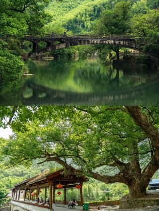 Tonglu | Hidden Mountain Retreat in Eshan She Township: An Eastern Poetic Secret Loved by Expats.