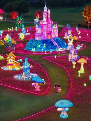 Wuhan Optics Valley's top night tour spot avoids the crowds! Step into Alice's fairy tale secret realm