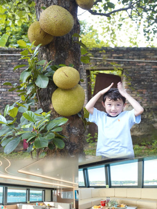 Weizhou Island Summer Vacation Guide for Kids | 3 Days 2 Nights Babysitting Experience