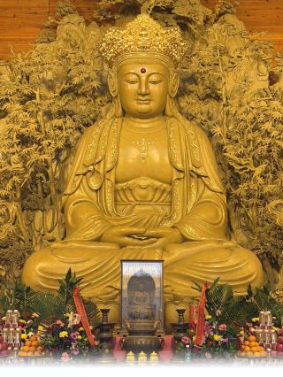 Emei Mountain secret Zen journey | a spiritual trip of unity in action