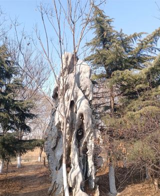 Pingyin Magang Park, where unique stone carvings blend with lake views, perfect for a leisurely stroll