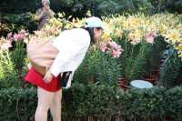 新加坡濱海灣花園｜避開人潮的完美悠遊攻略