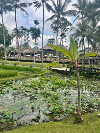 An Enchanting Stay in a Tropical Paradise