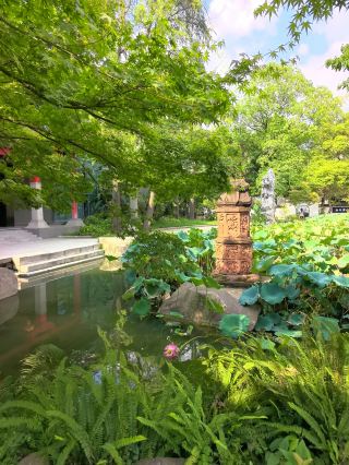 Visit a Jiangnan-style garden in Chengdu for free | A healing sanctuary in the bustling city