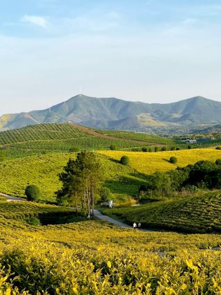 A new hotel hidden in Langxi, with details that quietly impress 