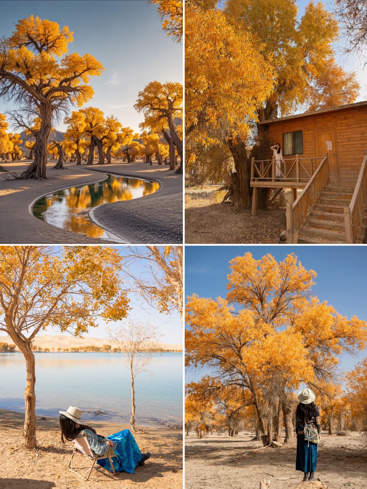 Golden Autumn in Southern Xinjiang: Pamir Plateau + Kashgar + Populus Euphratica Forest, Everything You Need to Know