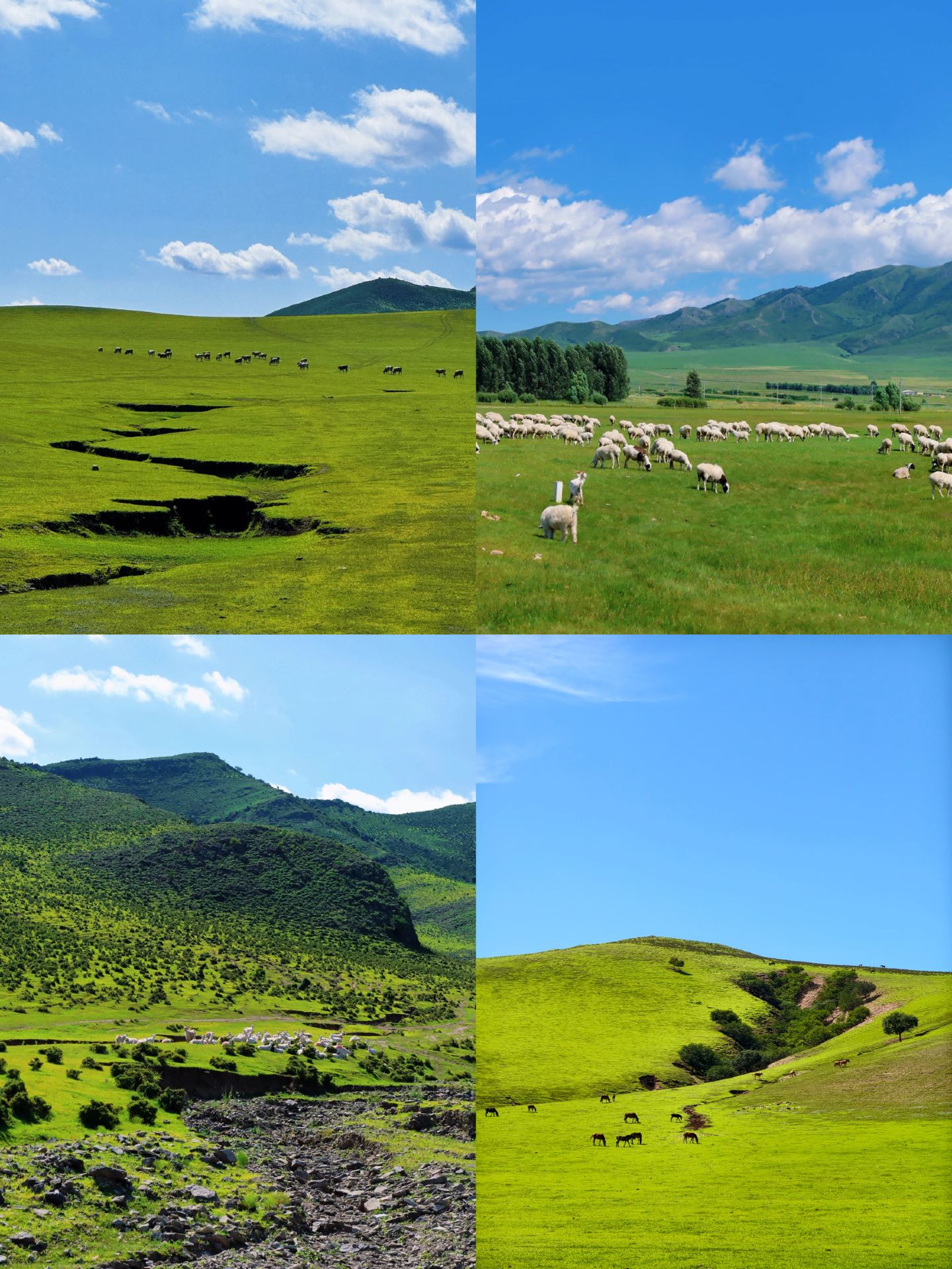 Escape Liaoning: 4 off-the-beaten-path cities reachable by high-speed rail in 1 hour