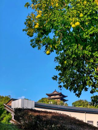 Ascend Gushan's Tianmu Pavilion and enjoy the colorful autumn scenery